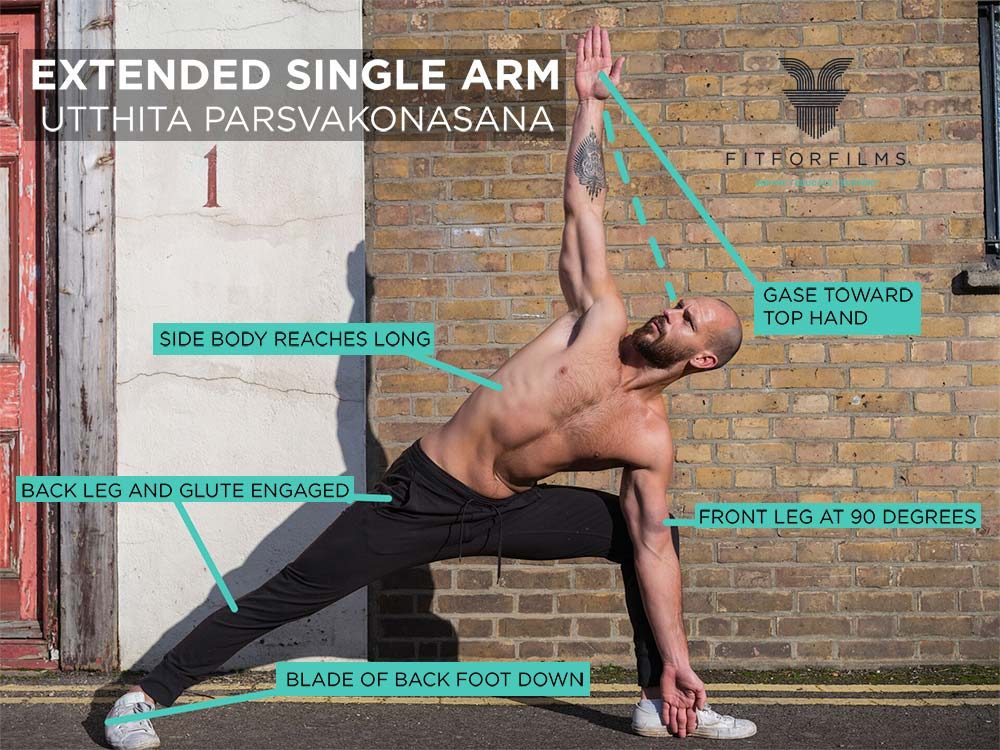 extended single arm image