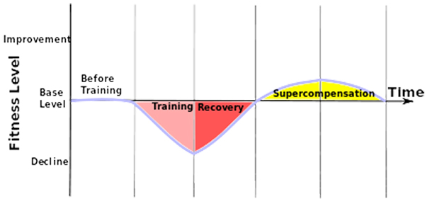 periodisation graph image