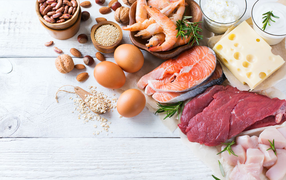 protein importance establishing goal Fit For Films