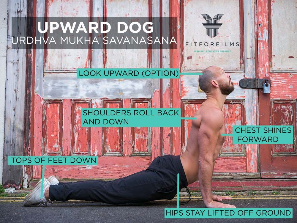 upward dog image